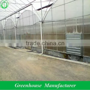 China Polycarbonate Greenhouse thumbnail-1