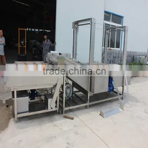 Palm Date Washing Sorting Machine thumbnail-2