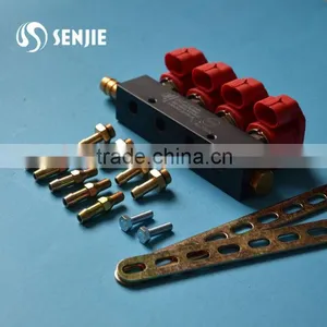 Rail Injector for LPG/CNG thumbnail-1