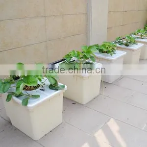 Hydroponics Duch Buckets for Tomatoes Peppers thumbnail-4
