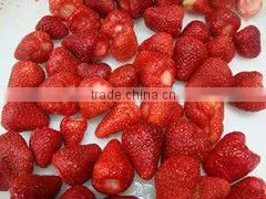 Supply New Season Frozen Strawberry thumbnail-1