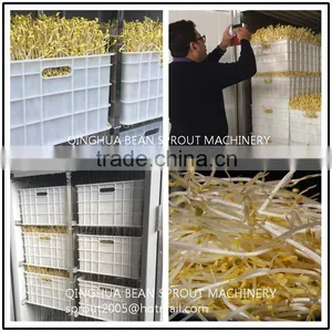 Bean Sprout Growing Machine Mung Bean Sprout Machine thumbnail-2
