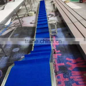 Plastic Modular Belt Conveyor for Vegetable Industry thumbnail-5