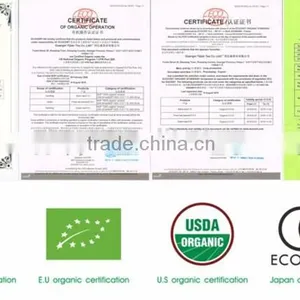 Wholesale China Famous Organic Green Tea thumbnail-6