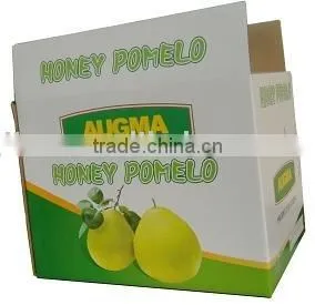 Foldable Corrugated Fruit Box thumbnail-1