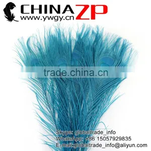 CHINAZP Leading Supplier Wholesale Cheap Full Eye Dyed Turquoise Blue Peacock Tail Feathers for Sale thumbnail-1