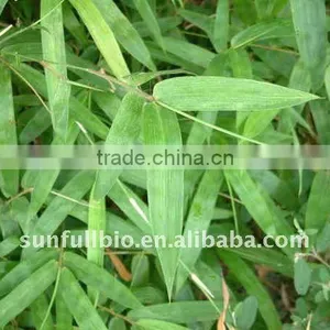 30% Flavonoids Bamboo Leaf Extract thumbnail-1