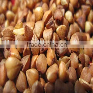 Roasted Buckwheat Kernels thumbnail-1