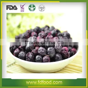 Freeze-Dried Blueberry thumbnail-1