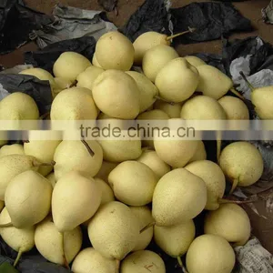 New Crop of China Fresh ya Pear for Hot Sale thumbnail-3