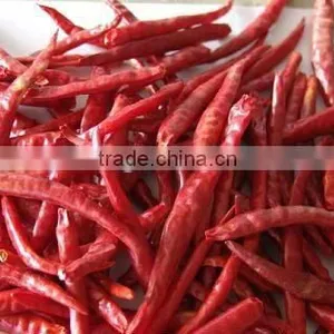 Red Chilli Dry (Capsicum Frutescens) thumbnail-1