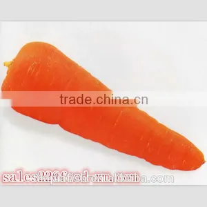 Frozen Bulk Carrot Wholesales thumbnail-1
