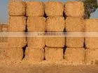 Straw Hay Bale, Wheat Hay Bale, Hay Straw Bale, Wheat Straw Hay, Cattle Feed Straw thumbnail-1