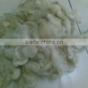 The New Harvest of Carpet Grade Wool,32-34mic,3-5inch, Good White for Carpet Yarn Spinning thumbnail-1
