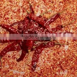 Red Dry Chilli thumbnail-4