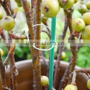 Gardening Galvanised Plant Ring thumbnail-3