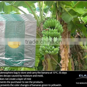 Pineapple Bag thumbnail-5