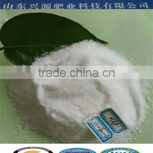 Ton Bag Packing MAP Fertilizer Powder and Crystal Granular thumbnail-1
