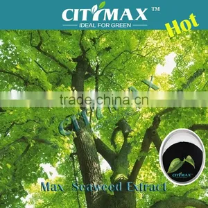 Seaweed Extract Powder thumbnail-1
