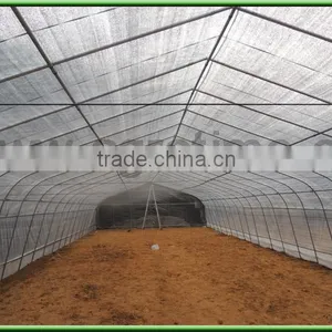 Solar Greenhouse Invernadero Ojival Economico thumbnail-4