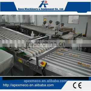 Automatic Online Tray Loading System thumbnail-1