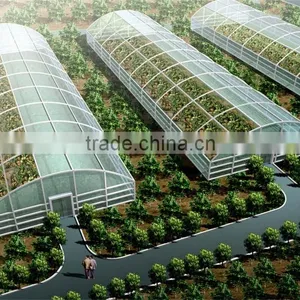 Anti-fog and UV-protection Garden Greenhouse,fiberglass Greenhouse Covering,commercial Hothouses thumbnail-6