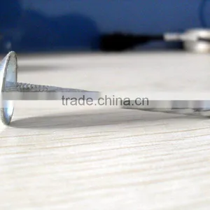 Roofing Nail thumbnail-1