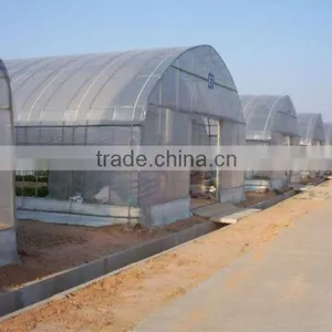 Tunnel Greenhouse thumbnail-6