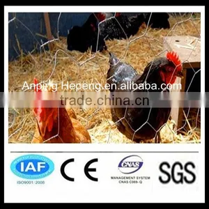 Hexagonal Wire Netting Chicken Wire Mesh thumbnail-1