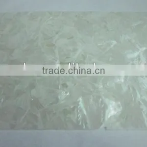 Irregular Triangle White Lip Mother of Pearl Shell Veneer thumbnail-1