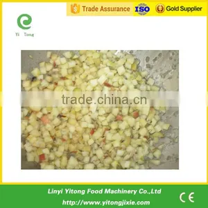 Electric Automatic Stainless Steel Industrial Commercial Vegetable Dicer Slicer Machine thumbnail-5