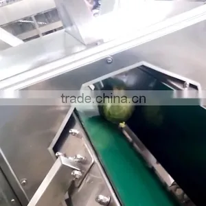 Fruit Vegetable Squash Half Cutting Machine thumbnail-2