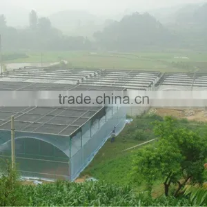 Muilti-span Film Greenhouse for Vegetable thumbnail-1
