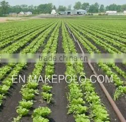pe Pipe for Irrigation Diameter 16mm-110mm Good Material High Quality Cheap Price Manufacturer of Pipe thumbnail-3