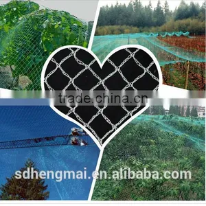 100% BEIGE Virgin Antihail Net/HDPE Bird Net thumbnail-5