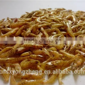 Dried /Canned Shrimps For Cat Food thumbnail-1