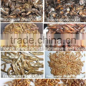 Wild Birds Food Freeze Dried Crickets;Dried Crickets for Wild Birds thumbnail-6