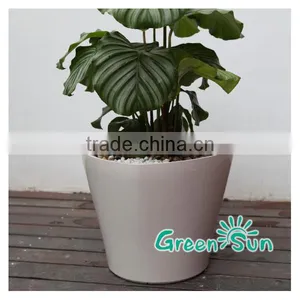 Succulent Plant Pot, Plastic Planter Pots,garden Flower Pot,interior Decor Planter thumbnail-4