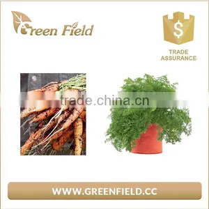 High Quality Black Breathable Felt Fabric Grow Bags thumbnail-3