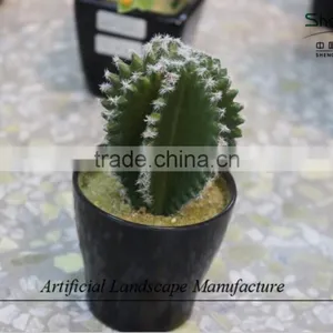 Mini Succulent Plants Potted Plants for Decoration thumbnail-5