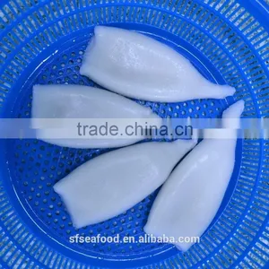 Squid Tube U5 of Illex Squid thumbnail-1
