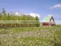 Niseko Resort Land for Selling thumbnail-1