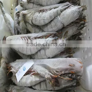 Frozen Biggest Shrimp thumbnail-1
