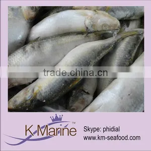 WR Frozen Sardines Seafood Fish thumbnail-1