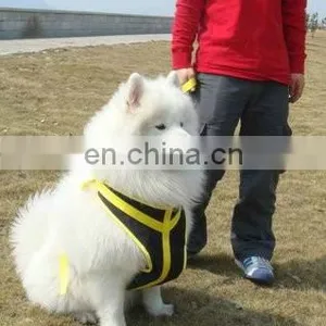 Professional Custom Durable Hands Free Running Dog Leash thumbnail-2