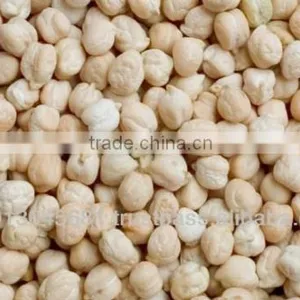 10mm Chickpeas thumbnail-1