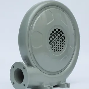 FZ8A5915