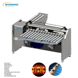 Egg Grading Machine Automaticr Egg Sorting Machine Egg Grader thumbnail-4