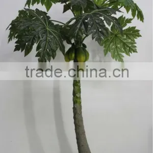 Artificial Papaya Tree thumbnail-1