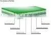 ps Plate thumbnail-1